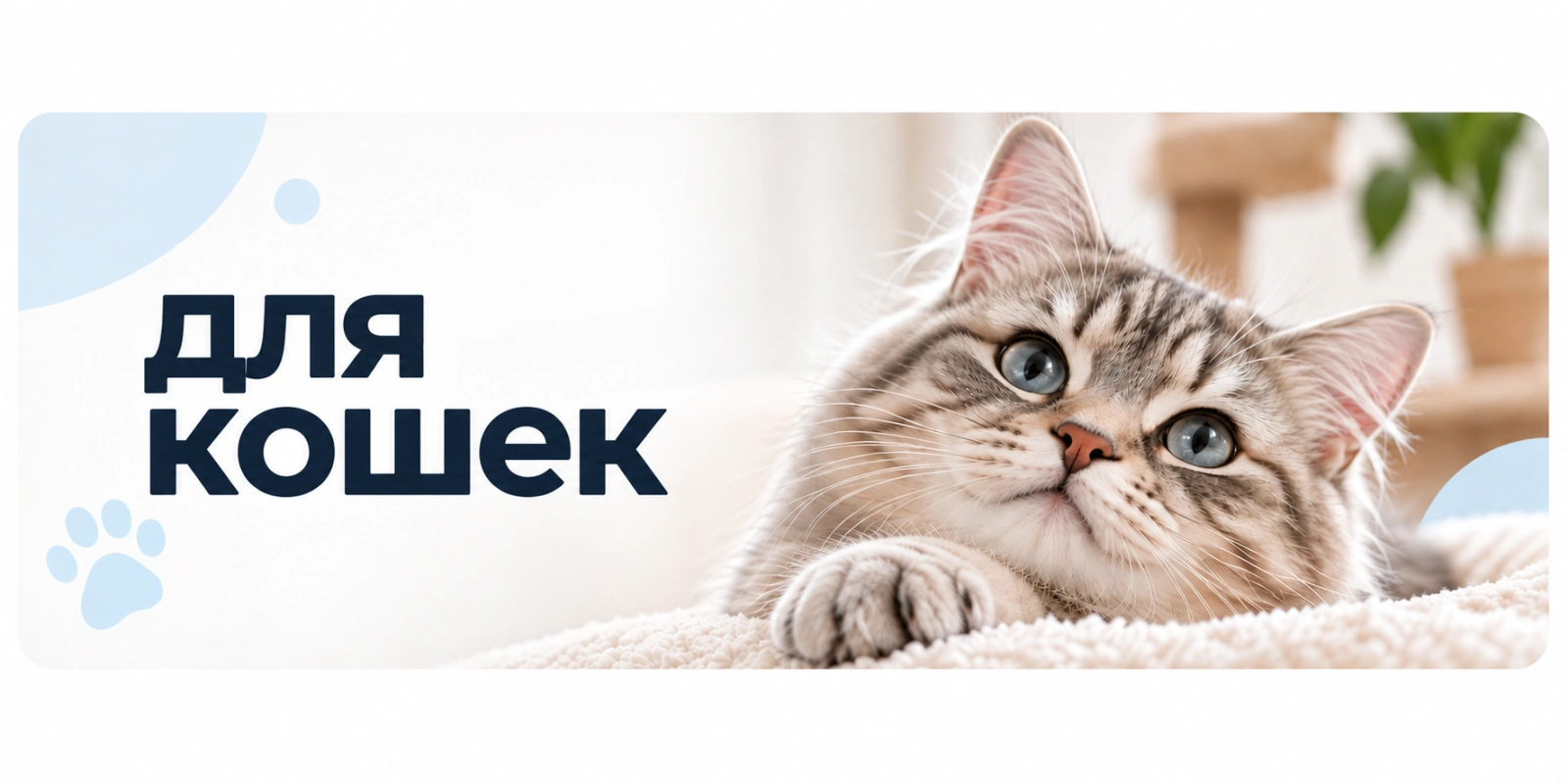 Для кошек