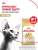 фото 14
