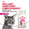 фото 12