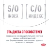 фото 6