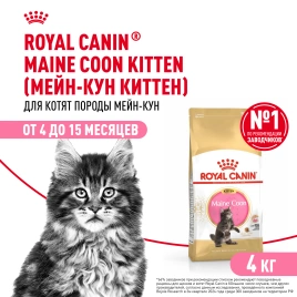 Сухой корм Royal Canin Kitten Maine Coon для котят, 4 кг