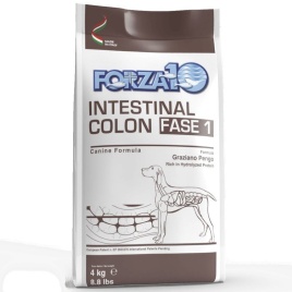 Forza10 Intestinal colitis Fase полнорационный диетический корм для взрослых собак, с рыбой - 4 кг