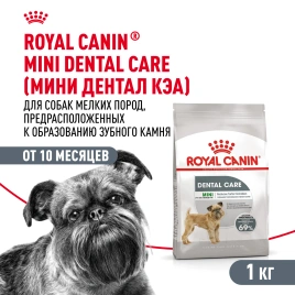 Сухой корм Royal Canin Mini Dental Care для собак, 1 кг
