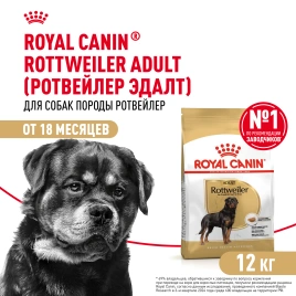 Сухой корм Royal Canin Bulldog Adult для собак породы английский бульдог, 12 кг