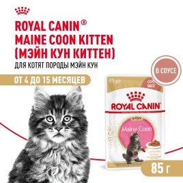 Влажный корм Royal Canin Maine Coon Kitten в соусе для котят породы мейн-кун и других крупных пород старше 3 месяцев, пауч, 85 г