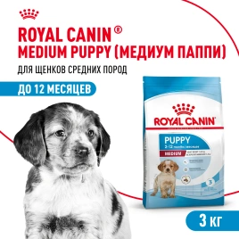 Сухой корм Royal Canin German Shepherd Puppy для щенков, 12 кг