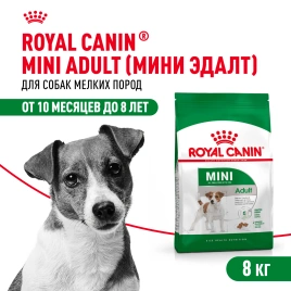 Сухой корм Royal Canin Mini Adult для взрослых собак, 8 кг