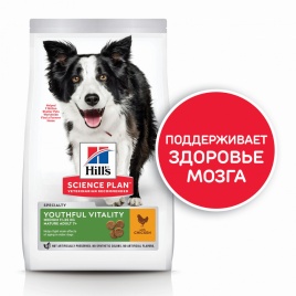 Hills Science Plan Youthful Vitality сухой корм для собак средних пород старше 7 лет для борьбы с возрастными изменениями с курицей и рисом