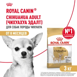 Сухой корм Royal Canin Chihuahua Adult для собак породы чихуахуа, 3 кг