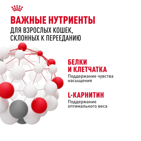 Сухой корм Royal Canin Appetite Control Care для кошек для контроля аппетита, 400 г фото 5