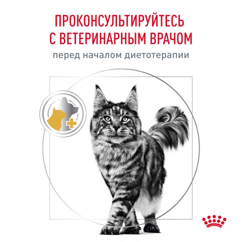 Сухой корм Royal Canin Urinary S/O Moderate Calorie для кошек, 350 г фото 8