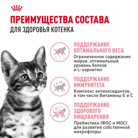 Сухой корм Royal Canin Kitten Sterilised для котят, 2 кг фото 3