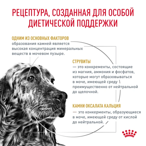 Сухой корм Royal Canin Urinary S/O для собак при мочекаменной болезни и цистите, 2 кг фото 3
