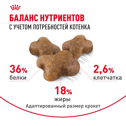 Сухой корм Royal Canin Kitten для котят, 300 г фото 5