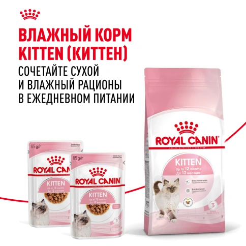 Сухой корм Royal Canin Kitten для котят, 300 г фото 14