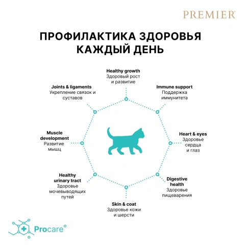 Сухой корм Premier Cat Turkey KITTEN для котят свежее мясо индейка 2 кг фото 4