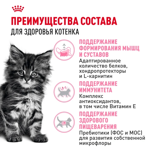 Сухой корм Royal Canin Kitten Maine Coon для котят, 10 кг фото 3