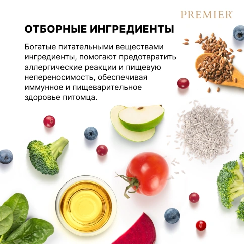 Сухой корм Premier Dog Turkey JUNIOR Medium&Maxi для юниоров средних и крупных пород свежее мясо индейка 1 кг фото 7