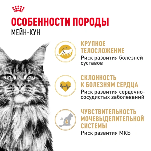 Сухой корм Royal Canin Maine Coon для кошек, 400 г фото 2