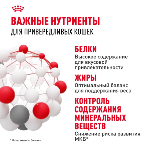 Сухой корм Royal Canin Protein Exigent для кошек, фото 5