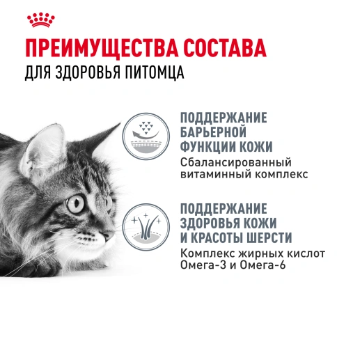 Сухой корм Royal Canin Hair & Skin Care для кошек, 2 кг фото 3