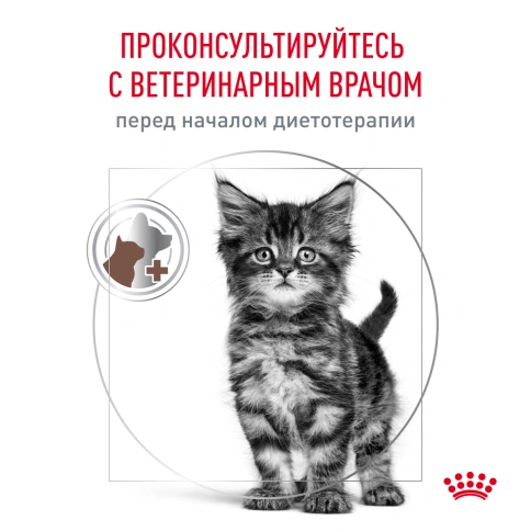 Сухой корм Royal Canin Gastrointestinal Kitten для котят, 2 кг фото 7