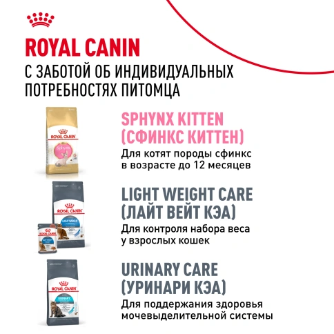 Сухой корм Royal Canin Sphynx для кошек породы сфинкс, 400 г фото 10