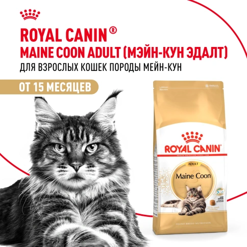 Сухой корм Royal Canin Maine Coon для кошек, 400 г фото 12