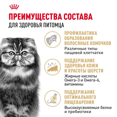 Сухой корм Royal Canin Persian для кошек персидской породы, 10 кг фото 3