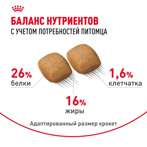 Сухой корм Royal Canin Pomeranian Adult для собак породы померанский шпиц, 500 г фото 5