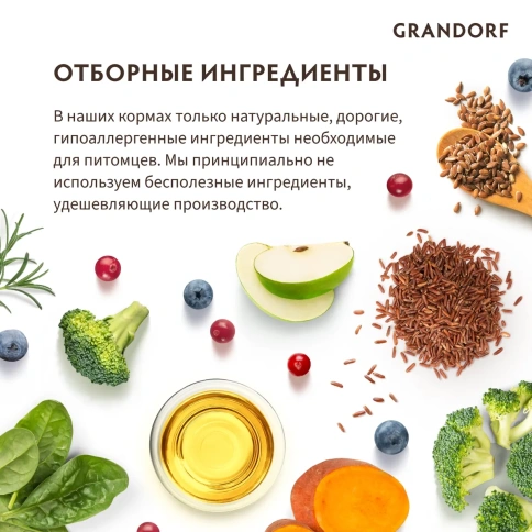 Сухой корм Grandorf Holistic белая рыба с рисом для взрослых собак мелких пород, 1 кг фото 4