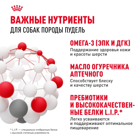 Сухой корм Royal Canin Poodle Adult для взрослых собак, 1.5 кг фото 4