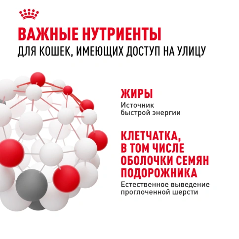 Сухой корм Royal Canin Fit для кошек, 15 кг фото 5