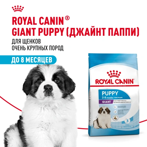 Сухой корм Royal Canin Giant Puppy для щенков, 3.5 кг фото 11