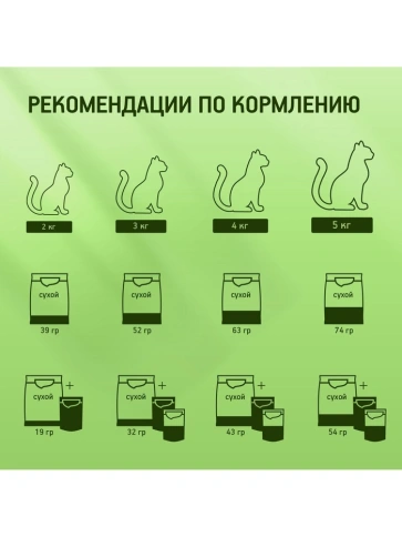 Сухой корм Kitekat Мясной пир для взрослых кошек, 15 кг фото 5