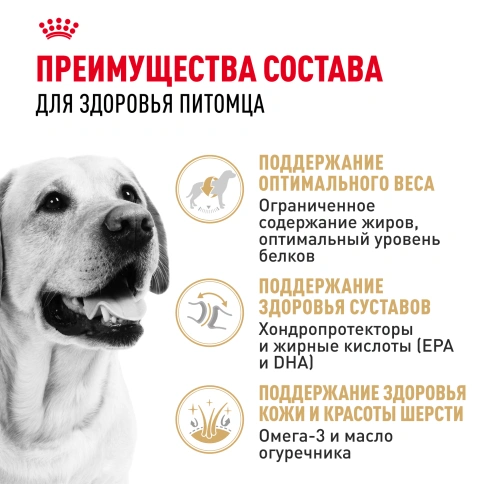 Сухой корм Royal Canin Labrador Retriever Adult для собак, 3 кг фото 3