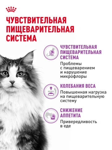 Сухой корм Royal Canin Sensible для кошек, 400 г фото 17