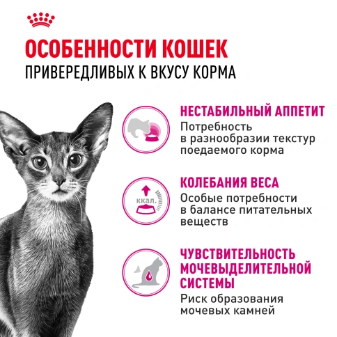 Сухой корм Royal Canin Savour Exigent для кошек, 10 кг фото 2