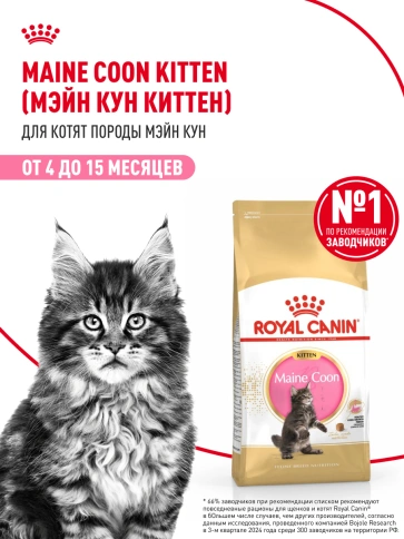 Сухой корм Royal Canin Kitten Maine Coon для котят, 10 кг фото 13