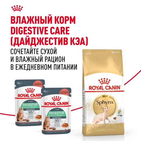 Сухой корм Royal Canin Sphynx для кошек породы сфинкс, 400 г фото 8