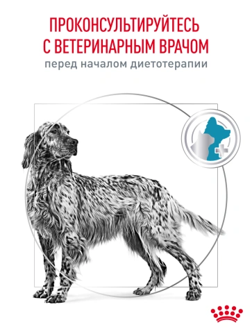 Сухой корм Royal Canin Hypoallergenic для собак, 14 кг фото 22