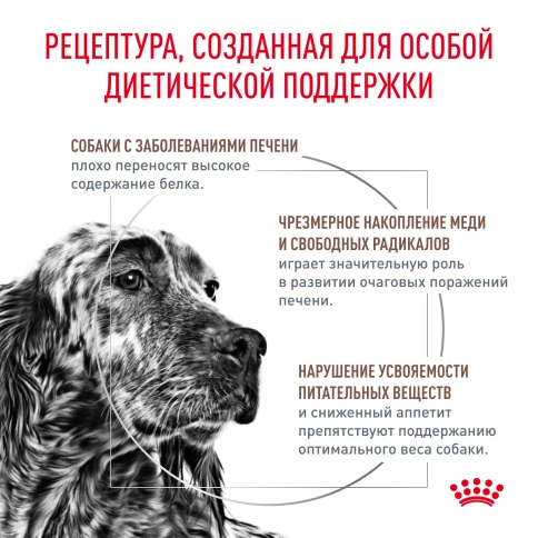 Сухой корм Royal Canin Hepatic для собак, 12 кг фото 3
