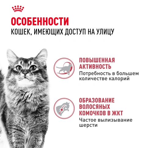 Сухой корм Royal Canin Fit для кошек, 2 кг фото 3