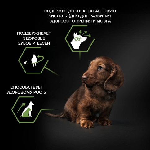 Сухой корм Purina Pro Plan Small & Mini Puppy Healthy Start для щенков мелких и карликовых пород, курица и рис, 700 г фото 2