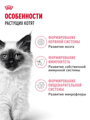 Сухой корм Royal Canin Kitten для котят, 2 кг фото 16