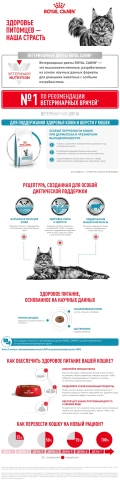 Сухой корм Royal Canin Skin & Coat для кошек, 350 г фото 10