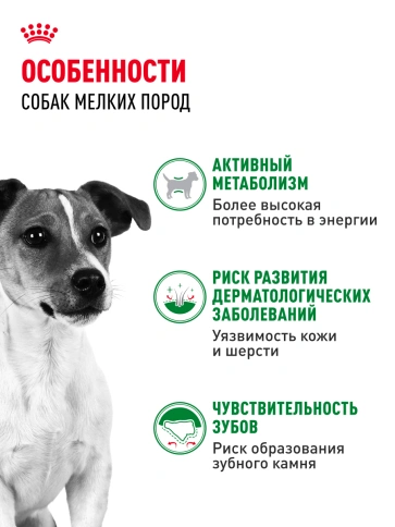 Сухой корм Royal Canin Mini Adult для взрослых собак, 2 кг фото 16