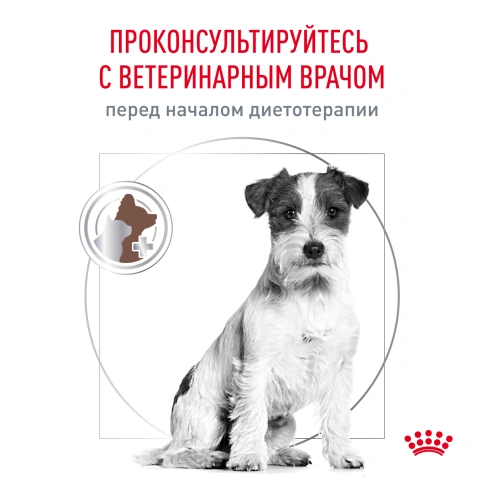 Сухой корм Royal Canin Gastrointestinal Low Fat Small Dogs для собак, 1 кг фото 7