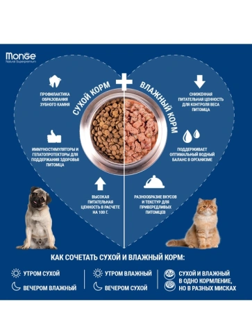 Сухой корм Monge Monoprotein Adult с лососем для взрослых кошек, 1.5 кг фото 6