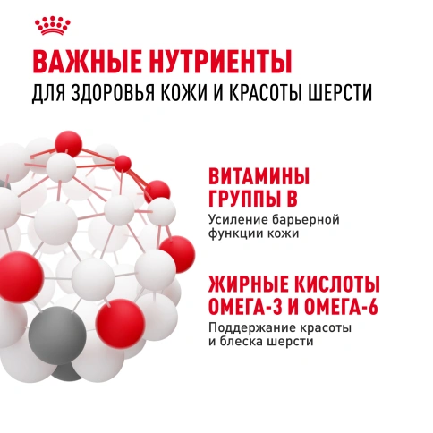 Сухой корм Royal Canin Maxi Dermacomfort для собак, 10 кг фото 5